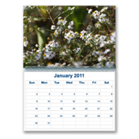 Calendars - Customizable, Wall