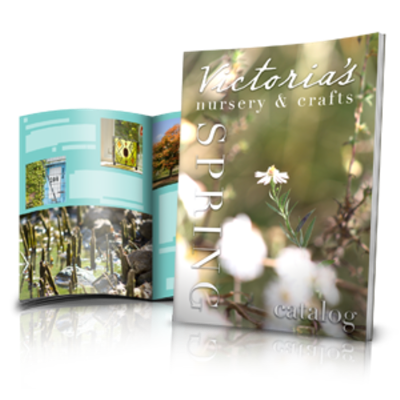 Catalogs 8.5" x 11"